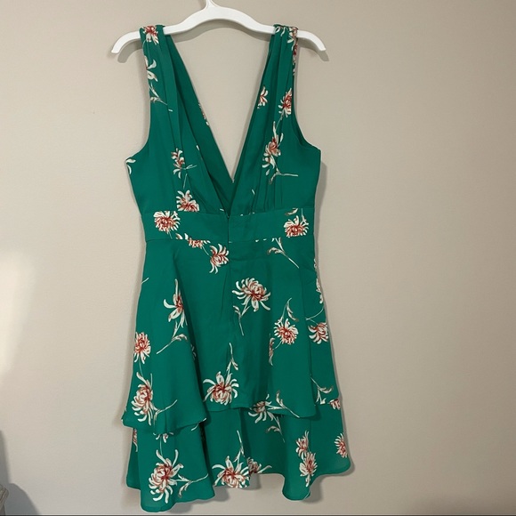 NWT BB Dakota garden strolls dress in green! - Picture 11 of 16